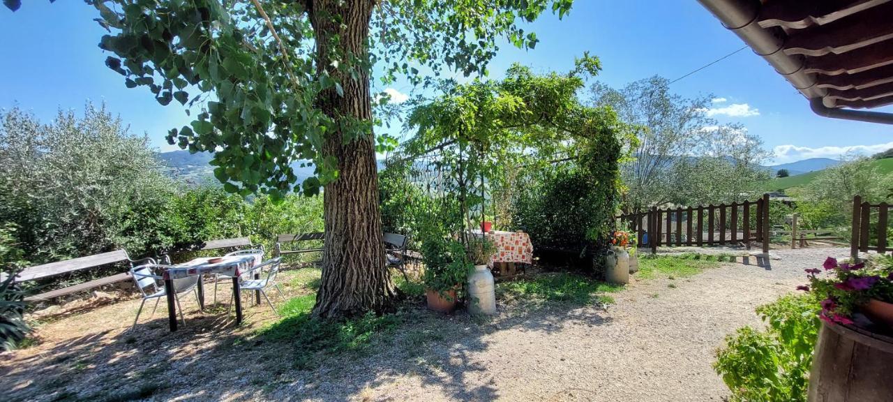 La Locanda Dei Cavalieri Affittacamere Lugagnano Val d'Arda Extérieur photo