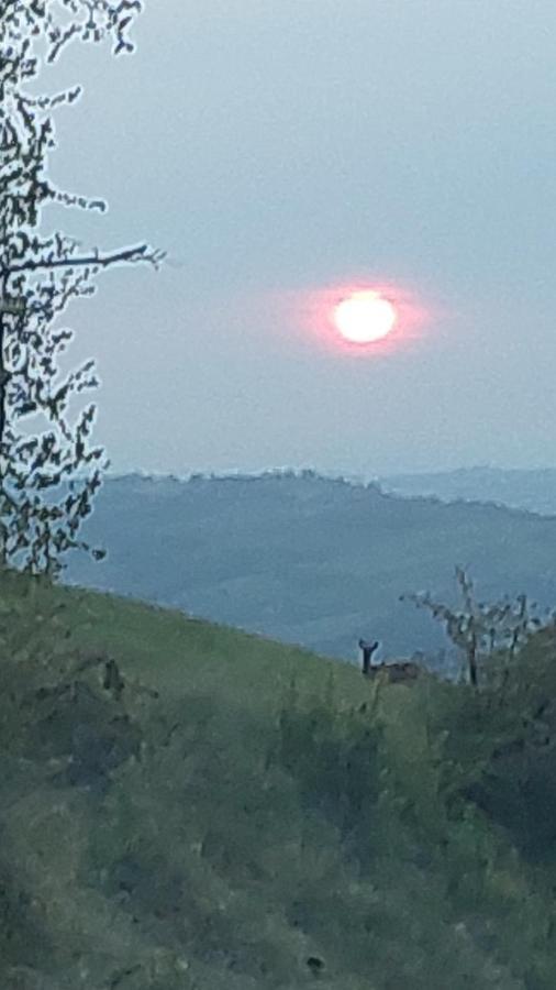 La Locanda Dei Cavalieri Affittacamere Lugagnano Val d'Arda Extérieur photo