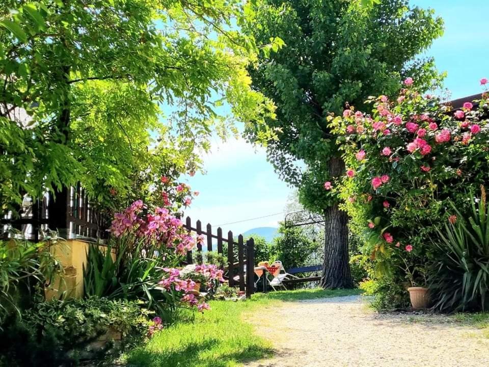 La Locanda Dei Cavalieri Affittacamere Lugagnano Val d'Arda Extérieur photo